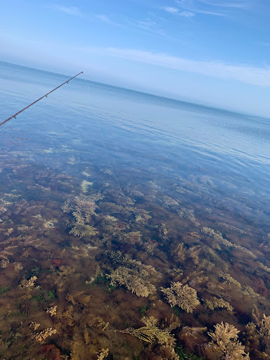 Settlement Point - Thumbnail