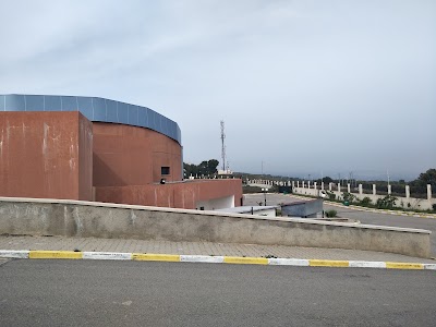 university