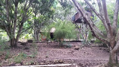 Photos of Aldea Jalcomulco