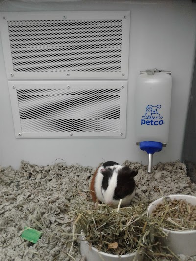 Petco