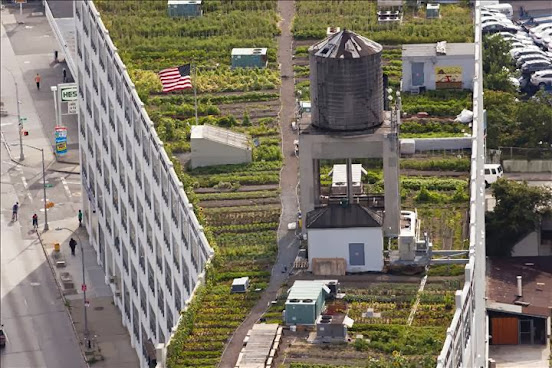 Sky Farm LIC by Variety Boys and Girls Club of Queens by null