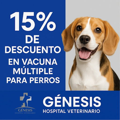 Genesis Hospital Veterinario