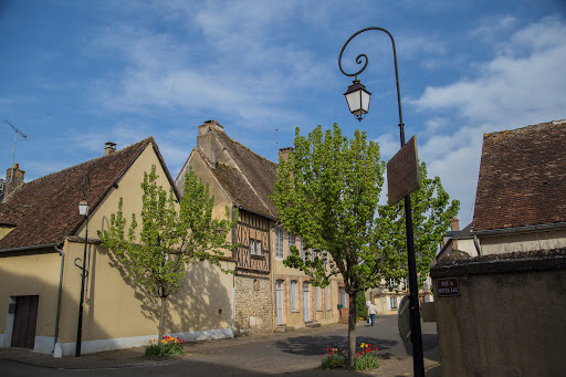 Immobilier Puisaye Nathalie Larché IAD France