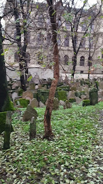 Old Jewish Cemetery by null