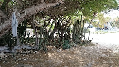 Photos of Boca Catalina Beach