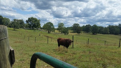 Lakota Ranch Farm Store