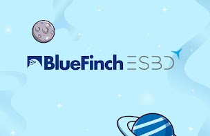 Photo n°6 de BlueFinch-ESBD à Neufchâteau (Service de sécurité informatique)