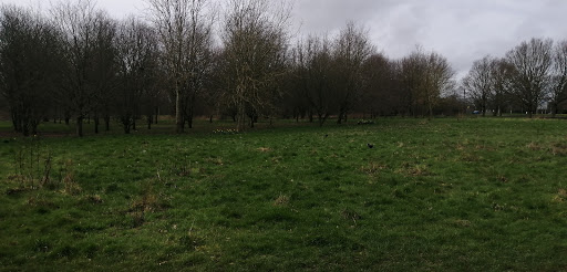 Cassie’s Field Gallery - United Kingdom