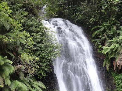Photos of Montagne d'Ambre National Park
