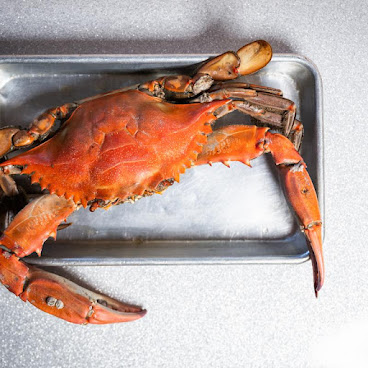 Porgy’s Seafood Market by null