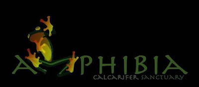 Photos of Amphibia