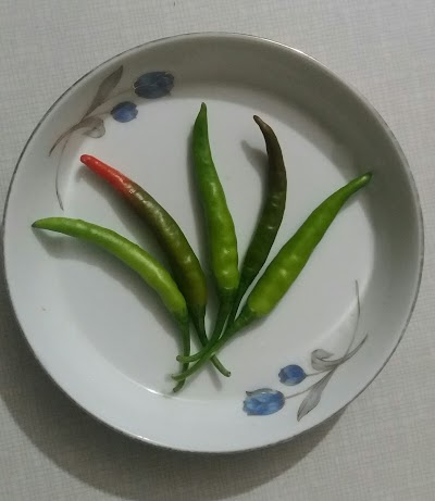Photos of Mograkanda Tea