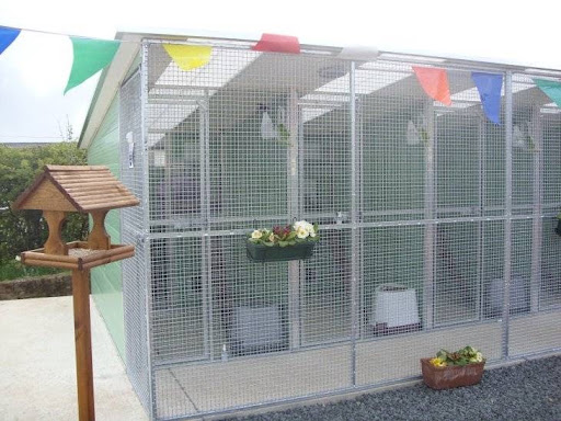 Braeside Cattery & Kennels - Thumbnail