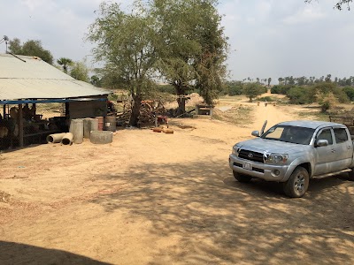 Photos of Chan Ang Rice Farm