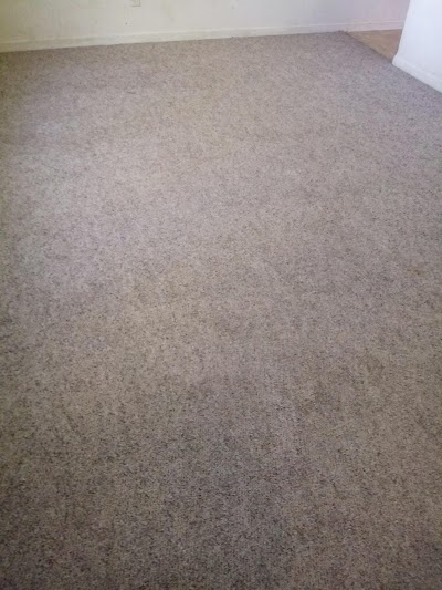 Actually Clean Carpets