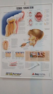 Dokter Orthodonti, Author: Mutohar Alwi