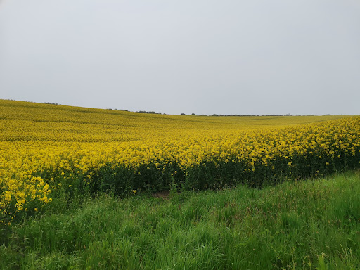 Bembridge Trail - Visual