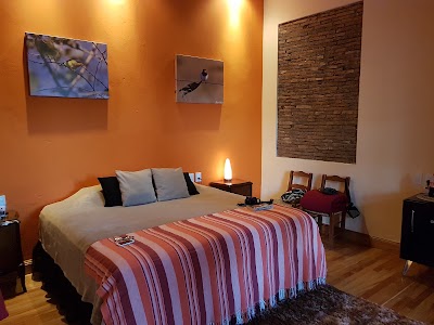 Photos of Hotel Posada Nido De P&aacute;jaros
