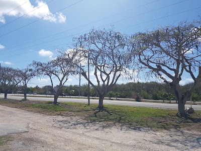 Photos of The Florida Keys Visitor Center