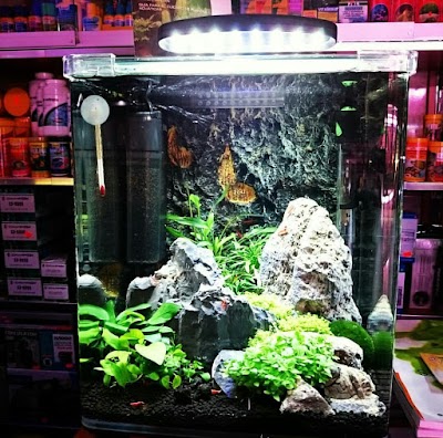 Bogazici Akvaryum Pet Shop