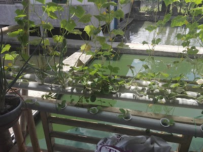 Photos of Warung HaGe