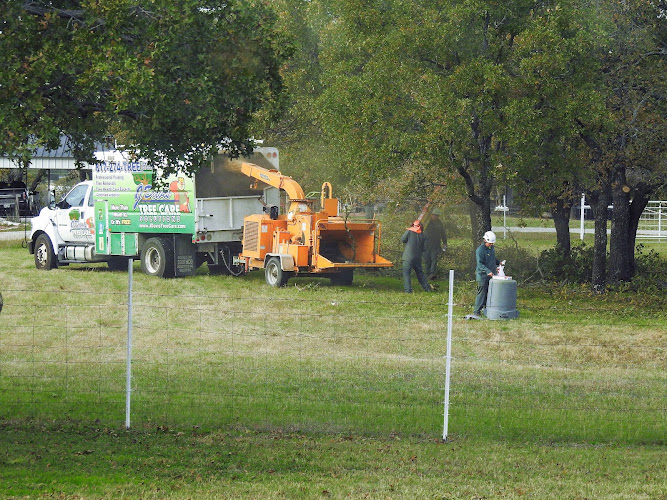 J Davis Tree Care Solutions