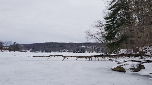 Deep Creek Lake Real Estate