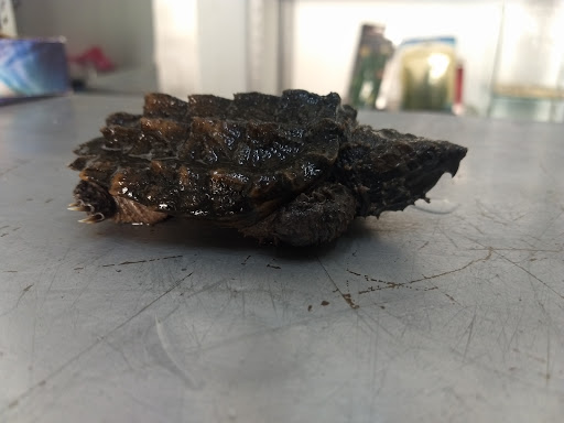 El granero de Ocotlán