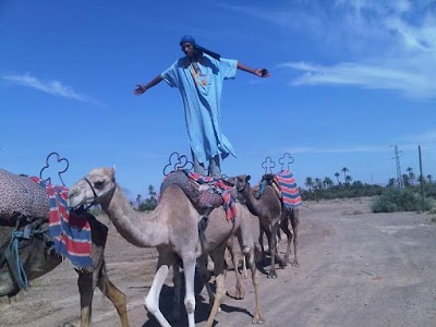 Photos of QUAD BUGGY MARRAKECH