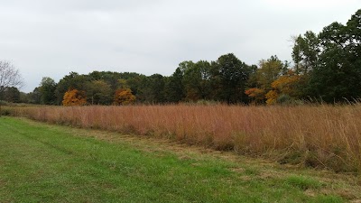 Photos of Kickapoo State Recreation Area