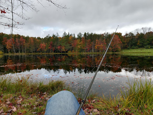 Jackson Pond Park