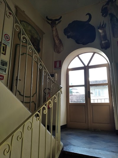 Museo Civico Craveri di Storia Naturale