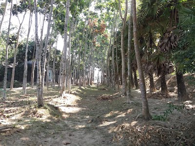 Photos of Rabeya Palace