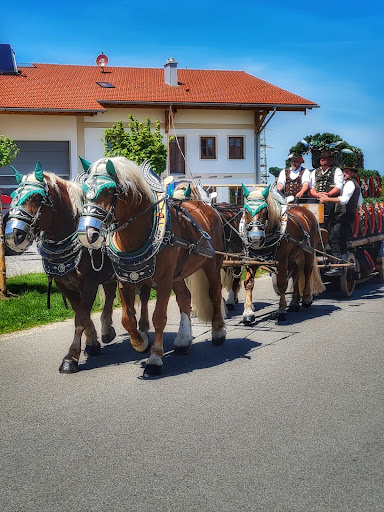 FRUGA Getränkefachmarkt Schnebinger - Thumbnail