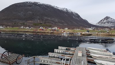 Photos of Flakstadv&aring;g Camping og sj&oslash;fiske