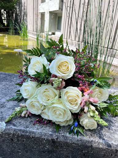 Blumen Weis - Visual