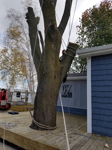 Sam's Tree Service LLC
