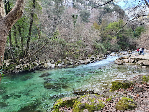 Rives du loup Gallery - France