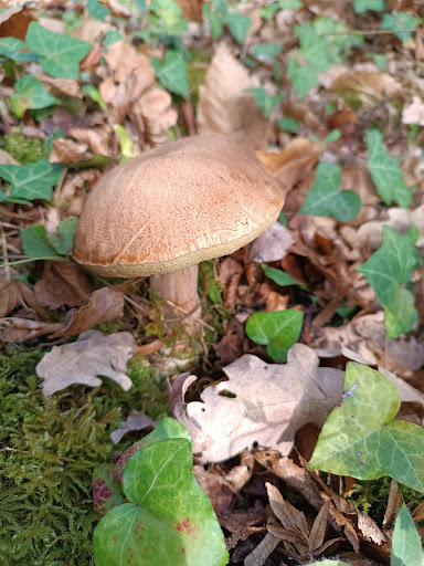 Sentier de randonnée "au fil de l'eau" - Thumbnail