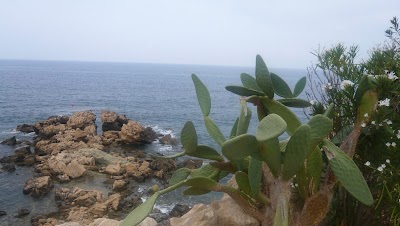 Photos of Vrachia Beach Hotel & Suites
