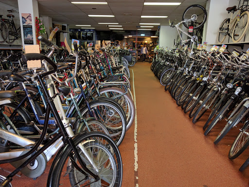 Budget Bike - Thumbnail
