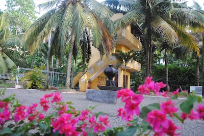Photos of Ever Green Mirissa