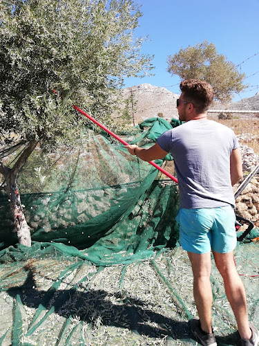 Comentarii opinii despre Ελαιοτριβείο Πιζάνιας