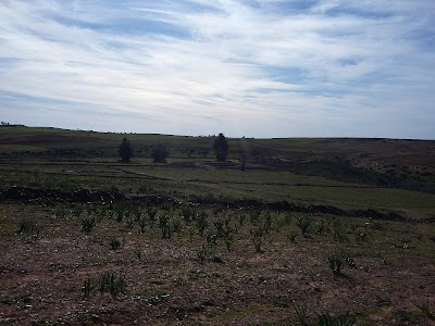 Photos of Domaine TA Agriculture