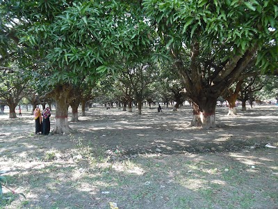 park