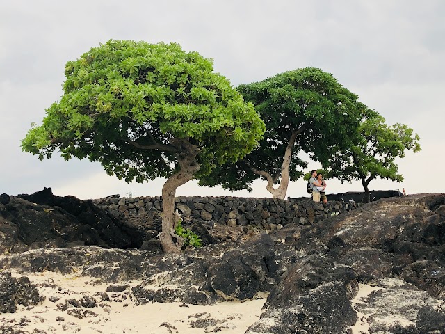 Manini'owali Beach