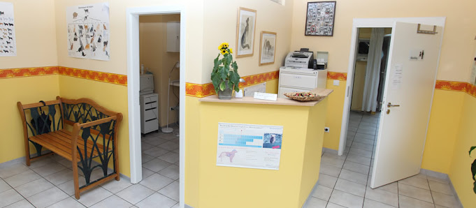 Bild: Dr. Dagmar Feller - Praktische Tierärztin Vom Inhaber