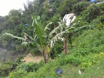 Photos of Karunia Coffee