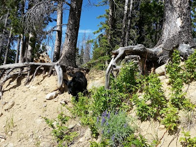 Park Lake Campground