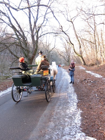 Photos of Szilv&aacute;sv&aacute;rad-Szalajkav&ouml;lgy